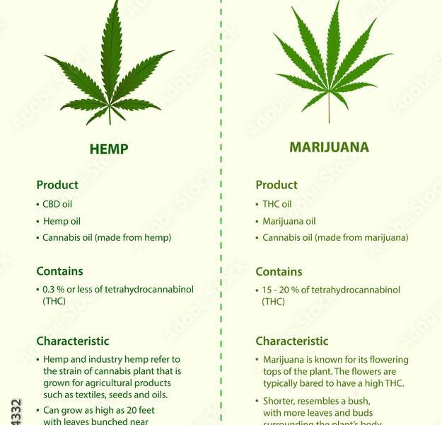 drugs similar to marijuana