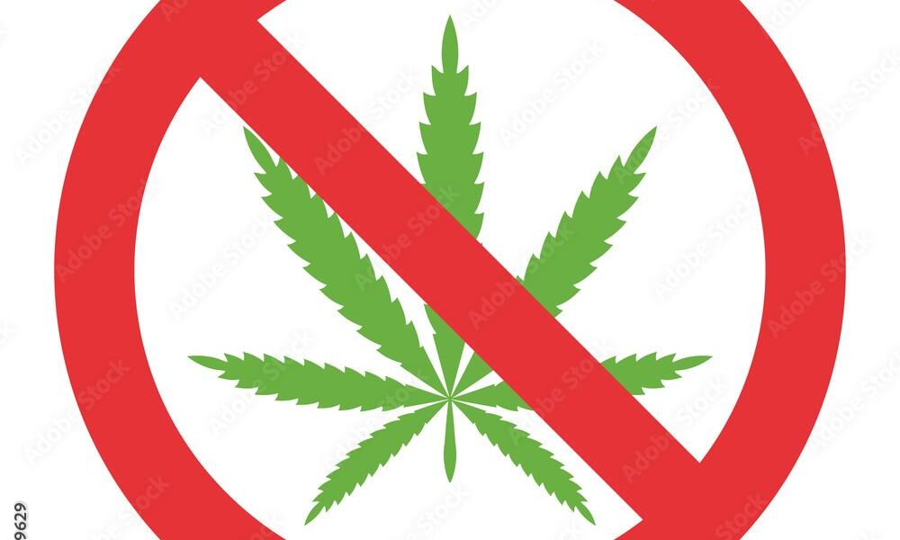 no cannabis