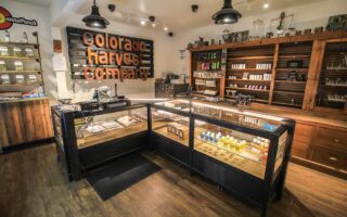 dispensaries in chelmsford