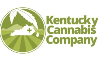 kentucky cannabis co logo