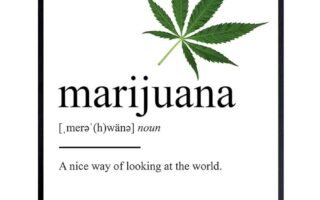 weed definition