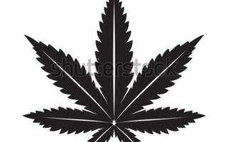 weed leaf