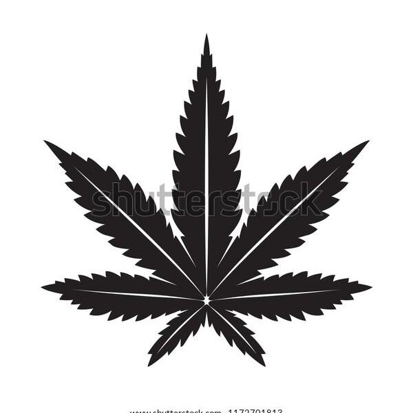 weed leaf