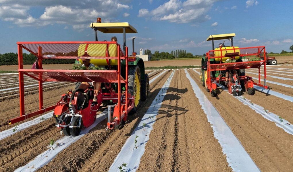 hemp planter