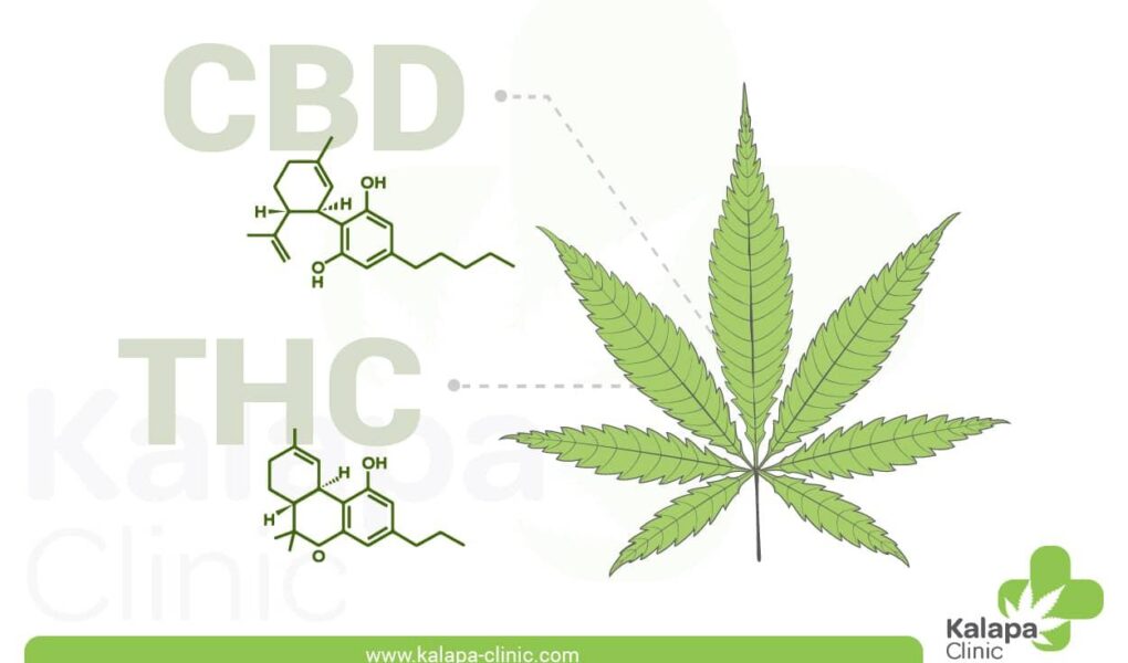 is thc a chemical