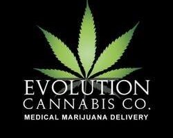 cannabis service company