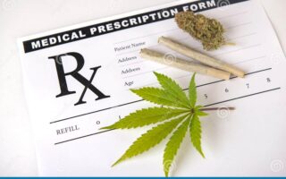 what is marijuana prescribed for