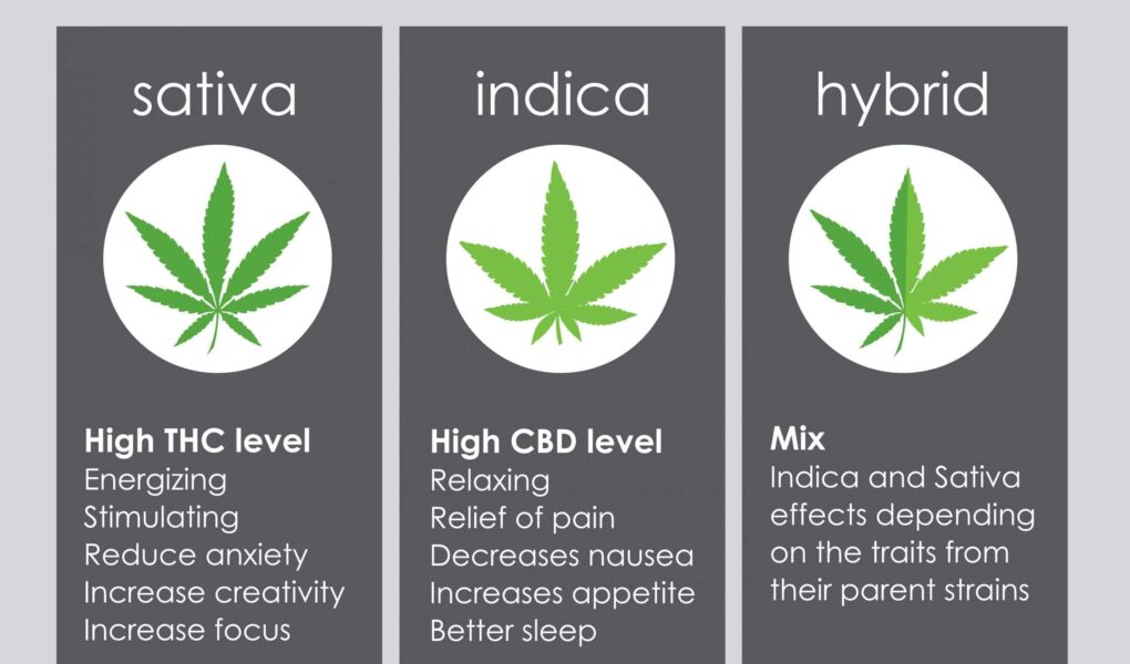 indica weed side effects