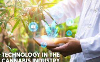 cannabis tech